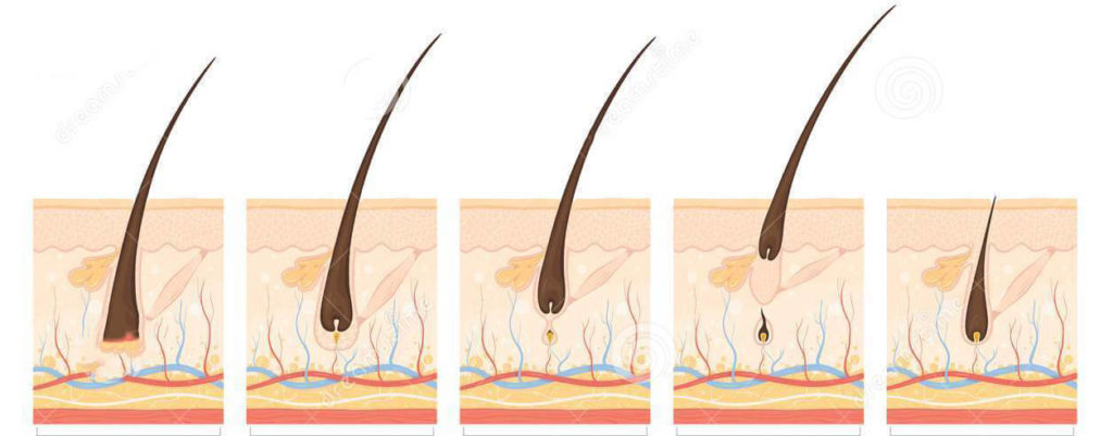 Длина волос для шугаринга: типы волос, максимальная и минимальная длина